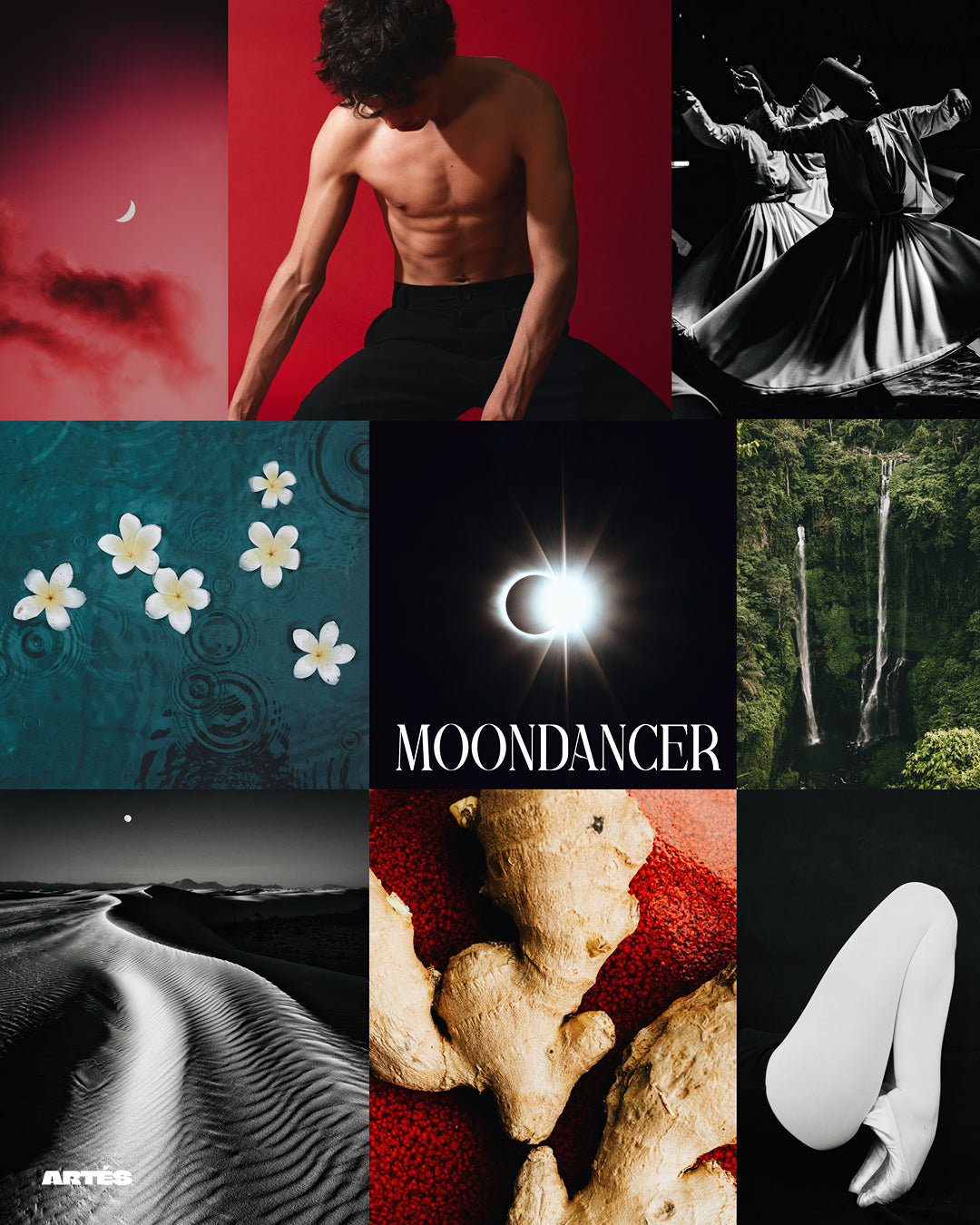 MOONDANCER